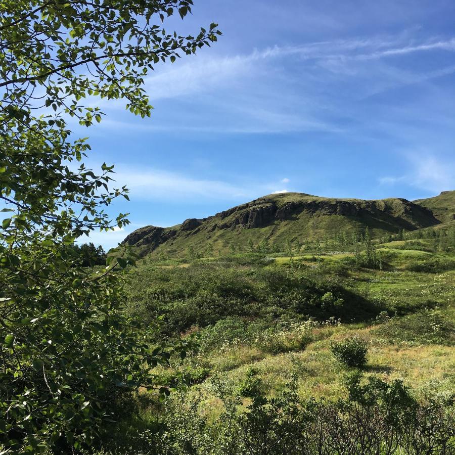 Hemrumork - Chalet Upper Kirkjubæjarklaustur المظهر الخارجي الصورة